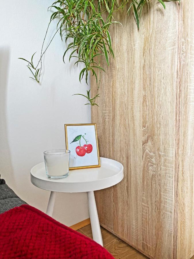 Apartma Jancic Appartamento Dobrovo Esterno foto